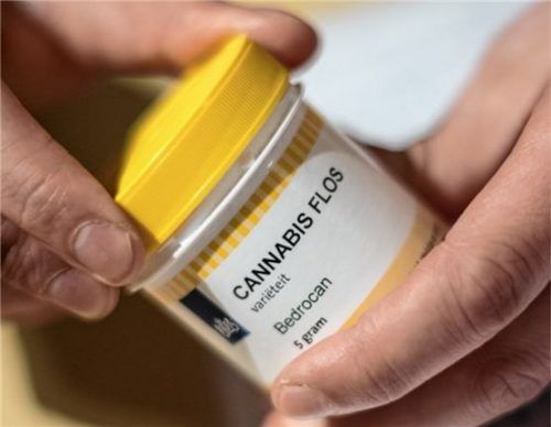 Ein Mann hält eine Dose mit Hanfblüten in der Hand. Foto dpa