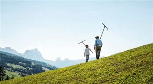 Ein Tag auf dem Bergbauernhof.Foto  Tourismus Alta Badia
