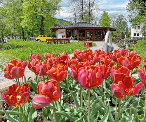 Einen malerischen Anblick bietet der Aschauer Kurpark. Nur die Touristen fehlen im Bild. Foto H. Reiter