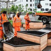 Ein Gemüsegarten mitten in der Stadt