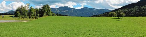 Grüne Wiese soweit das Auge reicht: Was das Sondergebiet „Frasdorfer Anger“ angeht, scheiden sich die Geister. Doch die Mehrheit der Bürger hat am Sonntag entschieden, dass dort künftig ein Hofladen des Anderlbauern und eine Miedl-Bäckerei mit Konditorei angesiedelt werden sollen. Foto Rehberg