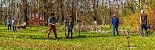 Helfer sind immer willkommen: Wer bei zukünftigen Pflanzaktionen mitanpacken möchte, wird bei den Grünen gern begrüßt. Foto Hager
