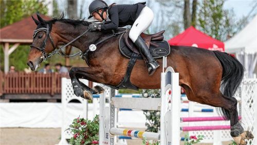 Julia Rackow vom RFV Altötting-Mühldorf belegte auf Laihla den vierten Rang im S*-Springen. Foto Hans Weitz