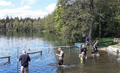 Zum Hornblattsammeln ging es in den kühlen Tinninger See, ein Dutzend Leute waren im Einsatz.Fotos re
