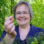 So gestalten Sie ihren Garten ohne zu viel Aufwand grün und tierfreundlich