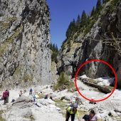 Wanderer von Steinschlag getroffen