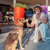 Sind das denn schon die ersten Hundstage?