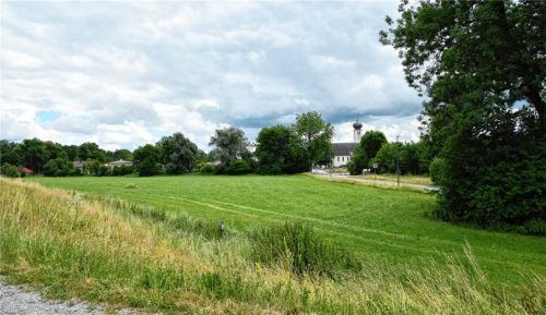 Auf dieser Wiese in Oberwöhr soll ein Wohngebiet mit 166 Wohneinheiten für knapp 400 Einwohner entstehen. Foto Schlecker