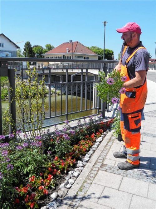 Chefgärtner Simon Reiter hat wieder alles hergerichtet und die Lücken wieder bepflanzt. Fotos Riediger