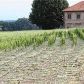Verwüstungen im Raum Wasserburg – Rosenheim bleibt verschont