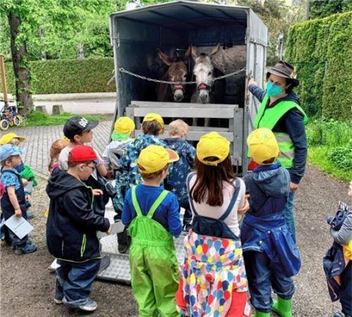 Die Kinder der Sonnengruppe lauschten gespannt den Erklärungen von Susanne Daxlberger, die den Umgang mit ihren Eseln schilderte. Foto re