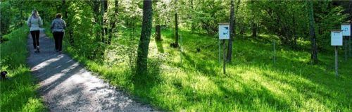Direkt neben dem Auerbach soll im Gemeindewald ein barrierefrei zugängliches Kneippbecken entstehen – naturverträglich und ohne einen Baum fällen zu müssen.Foto Schmidt