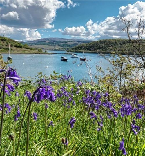 Hafen auf dem Weg ins Taynish Natur Reservat.