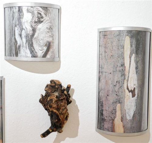 Maresa Jung: „Gruppenbild mit Bäumen“, Fotos und „Original“.