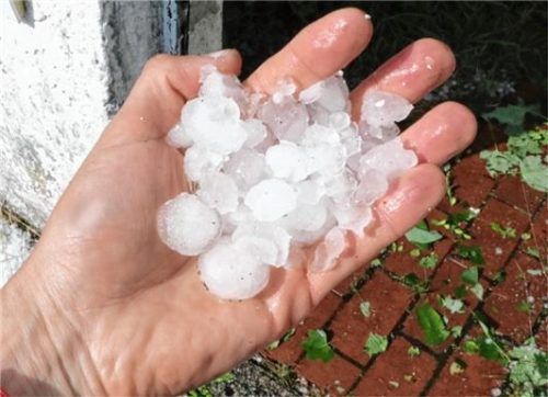 Taubeneigroße Hagelkörner fielen quer über den Landkreis vom Himmel und hinterließen immense Schäden. Foto Stuffer