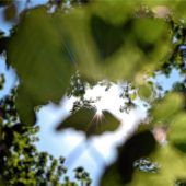 Appell an die Waldbesitzer
