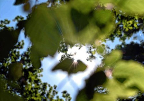 Um die Zukunft der Wälder zu sichern, hat der Staat ein Förderprogramm aufgelegt. Foto dpa