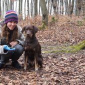 Der Wolfsspürhund vom Wörthsee
