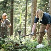 Arbeitsurlaub für einen gesunden Wald