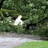 Mädchen (1) von Baum erschlagen