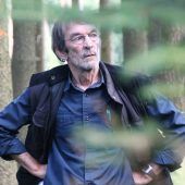 Feldversuch: Mit intensiver Jagd zum gesunden Mischwald