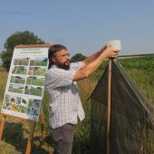 Mit Insektenmehl zu mehr Artenvielfalt