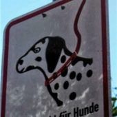 Leinenpflicht wird überwacht