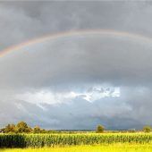 Naturschauspiel nach dem Gewitter