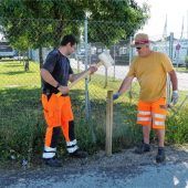 Vandalismus an der Dr.-Max-Hofmann-Straße