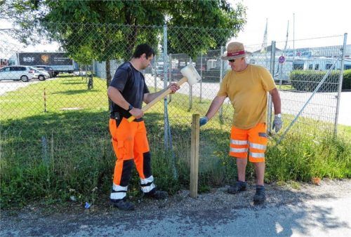 Christian Horn (links) und Michael Schmidt vom Kolbermoorer Bauhof schlagen die Begrenzungspfähle wieder in den Boden. Foto Riediger