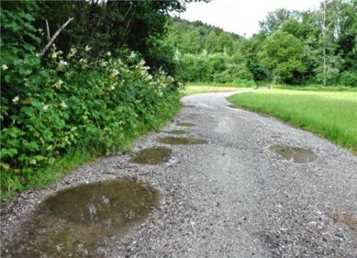 Dieser Waldweg zwischen Schwaig und der Leitzachbrücke bei Erb soll saniert werden. Aber erst, wenn sich die Gelbbauchunken zurückgezogen haben. Foto  Merk