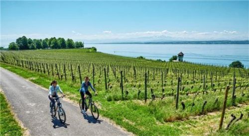 Natur- und Kulturgenuss lassen sich in der landschaftlich und geschichtlich reizvollen Region rund um den Bodensee gut miteinander verbinden. Foto  djd/Deutsche Bodensee Tourismus/Florian Trykowski