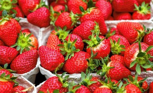 Schmecken und sind äußerst gesund: Erdbeeren sind reich an wichtigen Vitaminen und Mineralstoffen. Foto Pixabay