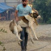 Gluthitze und Feuer bedrohen Urlaubsregionen