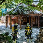 Zwei Verdächtige nach Feuer im Zoo Fußgänger von Laster überfahren