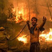 „Der Planet schwebt in Lebensgefahr“