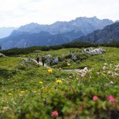 Ideales Wetter zum Wandern