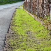 Stadt Traunstein investiert in Schutzmaßnahmen