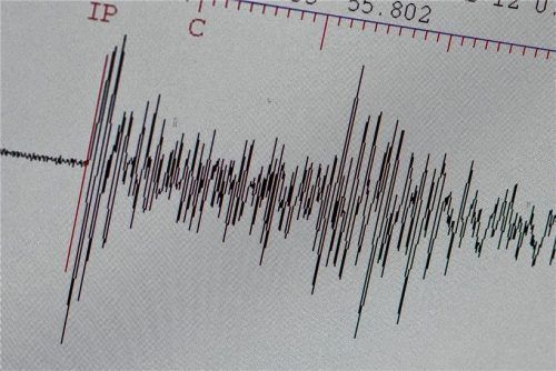 Der Ausschlag auf einem Seismografen gibt Auskunft über die Schwere eines Erdbebens. Foto dpa