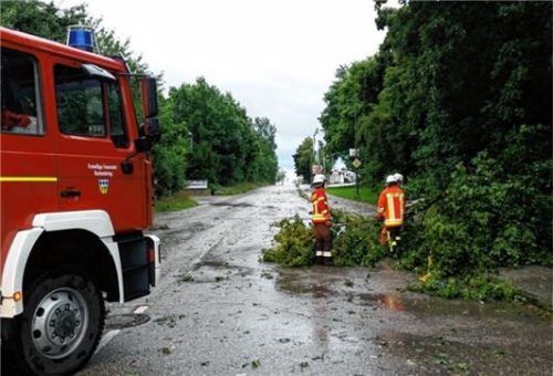 Die Feuerwehren im Landkreis Rosenheim mussten vor allem – wie hier in Eiselfing – Bäume beseitigen, die auf die Straße gestürzt waren. Foto Reinthaler
