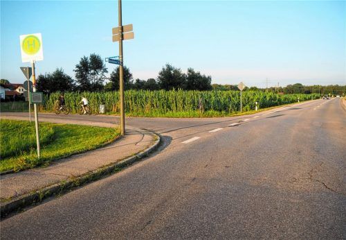 Die Fläche „Nördlich der Kreisstraße“ soll bebaut werden. Aber so, dass Überschwemmungen verhindert werden. Foto Heinz
