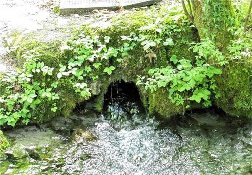 Drei Goldbachquellen versorgen Vagen mit bestem Trinkwasser. Nach dem Starkregen der vergangenen Wochen ist es das erste Mal mit coliformen Bakterien belastet.