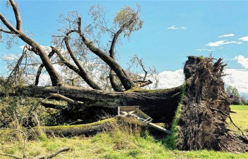 Ein entwurzelter Baum zwischen Höslwang und Halfing. Er hat ein Marterl mit umgerissen.Foto  Fritz