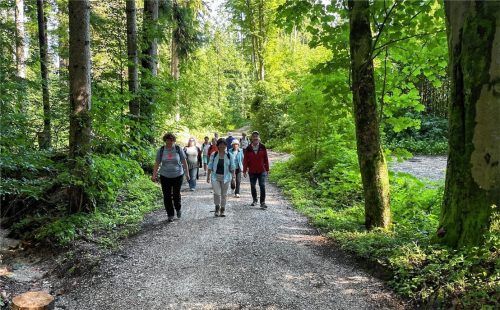 Historikerin Martina Stoib (in der Mitte) führt ihre Gruppe auf den Pfaden, auf denen die drei Prinzessinnen damals flohen. Fotos Kirchner