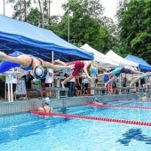 40 Stockerlplätze bei 110 Starts