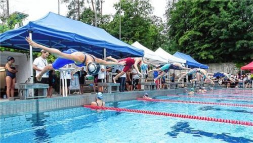 Nach langer Zeit sprangen die Piranhas wieder für Wettkämpfe ins Wasser.