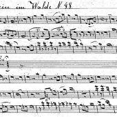 „Röslein im Walde“ erklingt vor Volksmusikarchiv