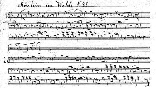 Notenhandschrift für „Violino I“, Kirchdorf 1892/1893. Foto re