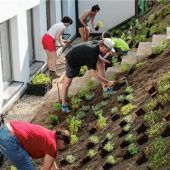 Schulhausgarten jetzt noch grüner