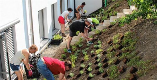 Schüler, Eltern und Lehrer legten gemeinsam Hand an die Eingrünung der Eggstätter Grundschule. Foto Kirchner